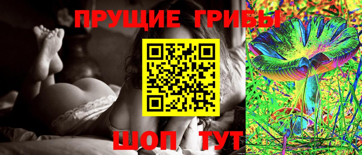 Псилоцибиновые грибы Cubensis  Вход с VPN  Калуга 