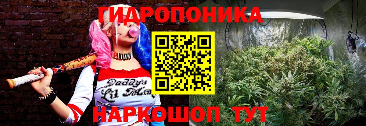 Конопля планчик  Шишки марихуана VHQ  МАРИХУАНА конопля  Вход с VPN  Калуга  Бошки Шишки тримм 